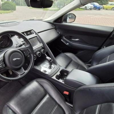 Jaguar 300 KM 50/50